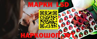 Альфа ПВП Новокубанск