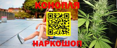 jwh Новозыбков