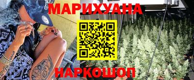 jwh Новозыбков