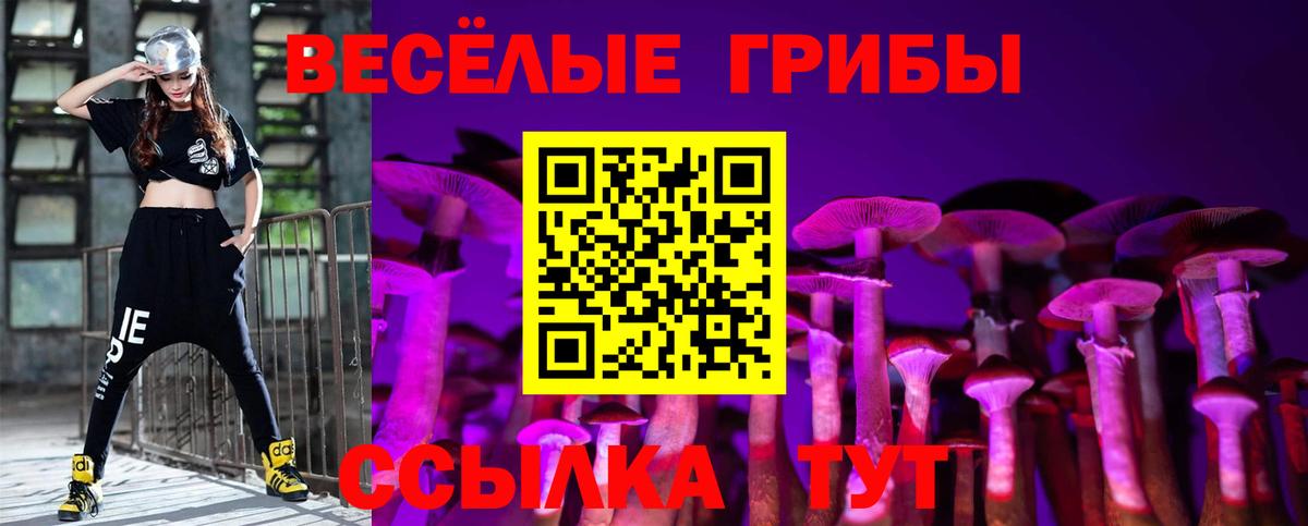 Сердобск  Псилоцибиновые грибы прущие грибы  Вход с VPN 