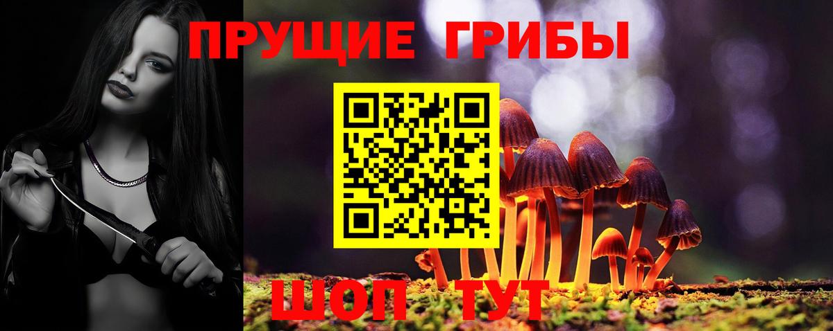 Псилоцибиновые грибы Cubensis Сердобск